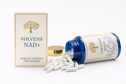 Voelvens NAD+